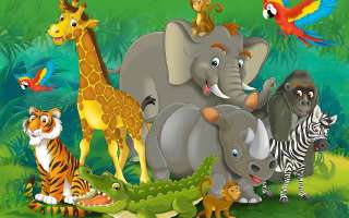 Animal Quiz - 2