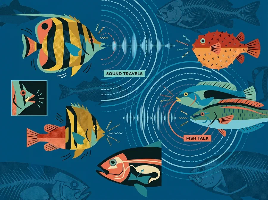 Are Fish Dumb?