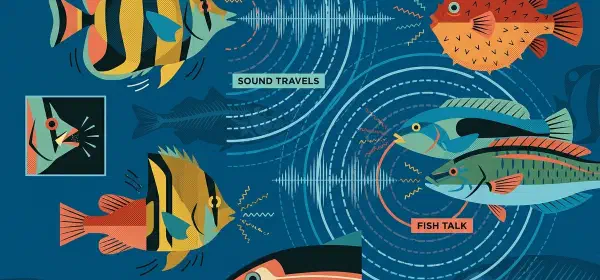 Illustration for Are Fish Dumb?