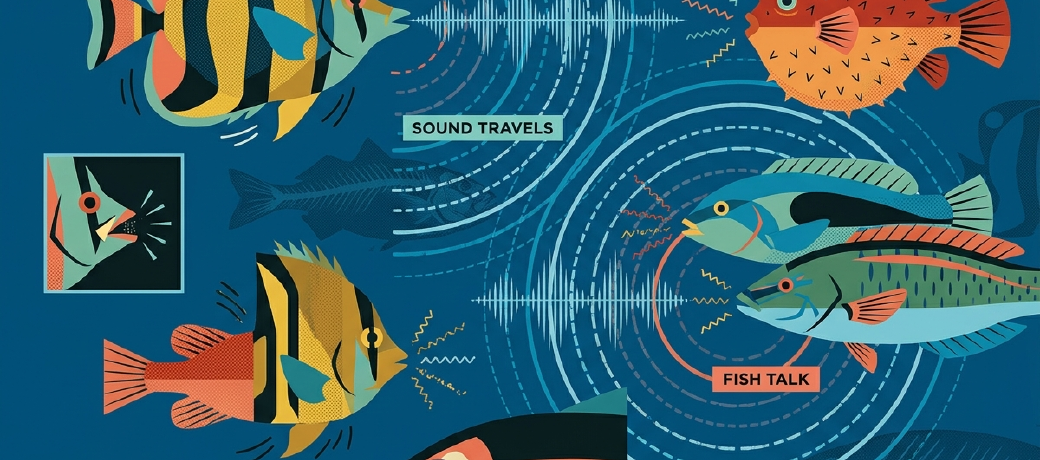 Illustration for Are Fish Dumb?
