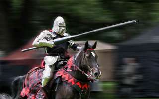 What Kind of Horses did Knights Ride?