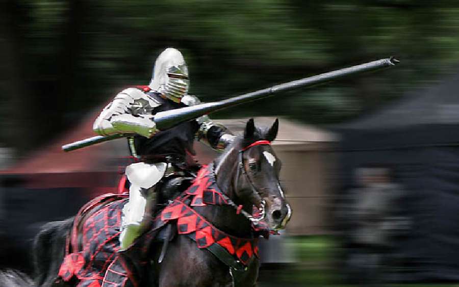 What Kind of Horses did Knights Ride?