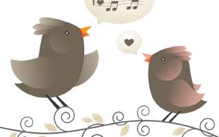 Birds Sing in their Sleep