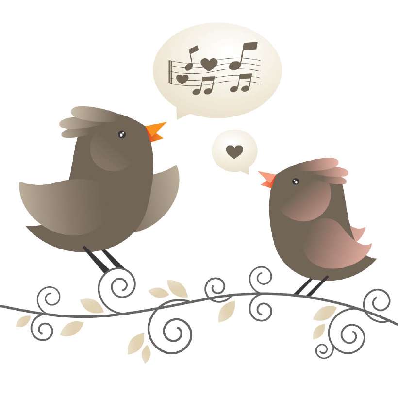 Many birds recognize their mothers by sound rather than sight.