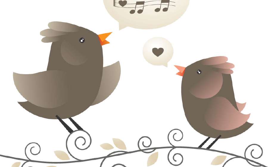 Birds Coloring Pages