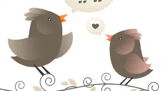 Illustration for Birds Sing in their Sleep