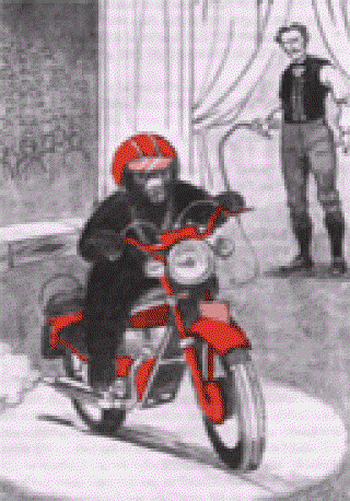 The Tale of a Circus Bear []