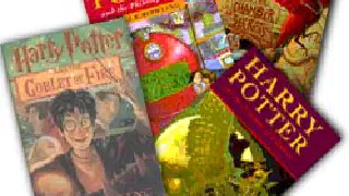 Illustration for Harry Potter Series: Uniquely Real