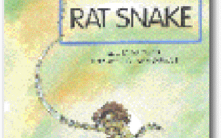 Of Rat Snakes and Boys who are Different