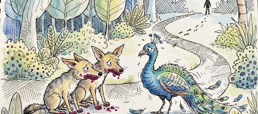 Illustration for Borrowed Feathers Help