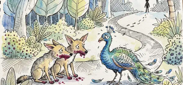 Illustration for Borrowed Feathers Help