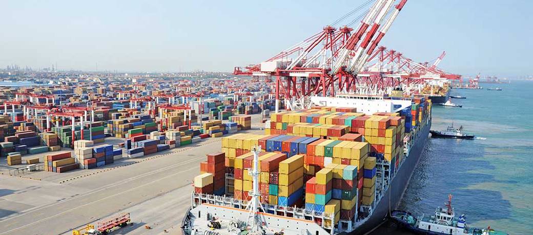 Marine Militants: Bioinvasion propagated through Cargo Ships