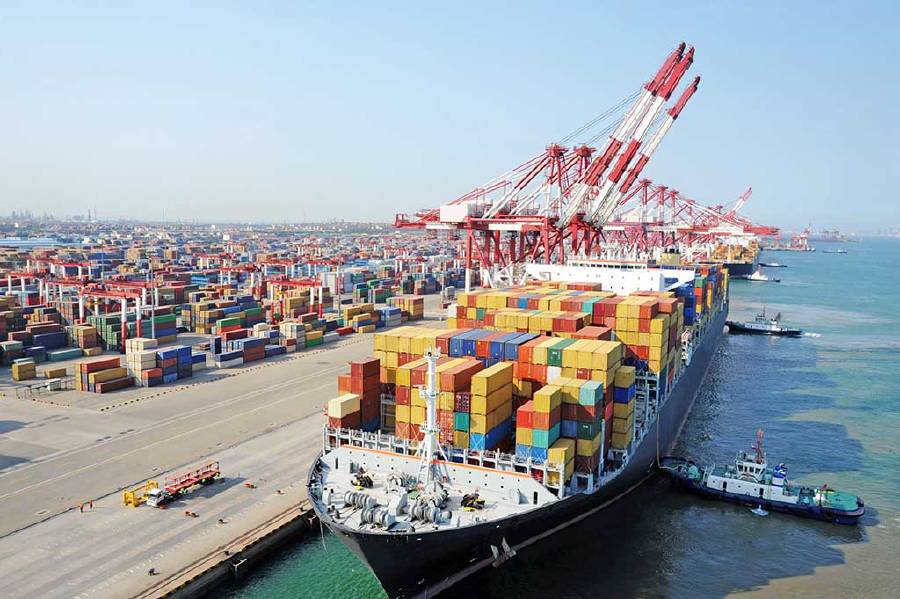 Marine Militants: Bio-Invasion through Cargo Ships