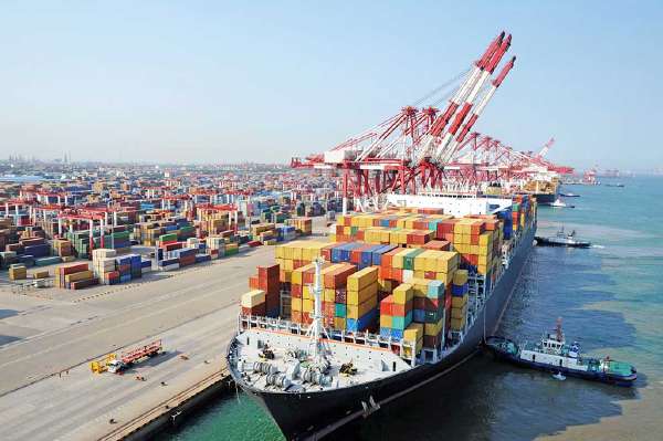Marine Militants: Bio-Invasion through Cargo Ships