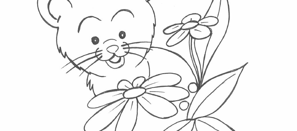 Fluff, the Cat