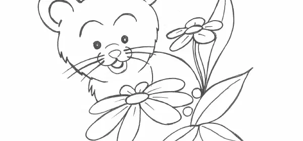 Illustration for Fluff, the Cat