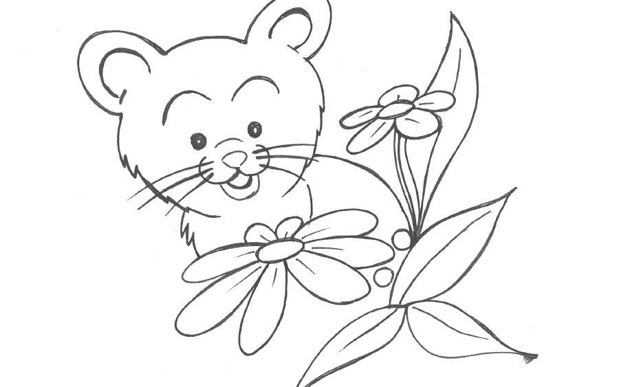Fluff, the Cat