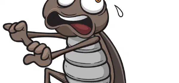 Illustration for Roach Sense