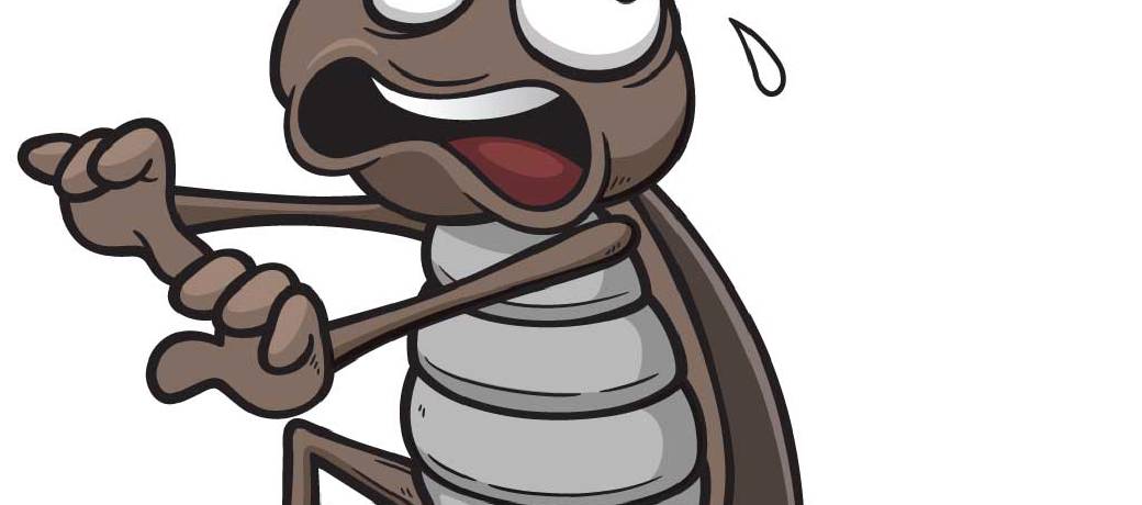 Roach Sense