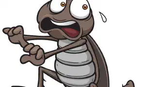 Illustration for Roach Sense
