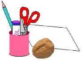 The Walnut Tortoise [Illustrations by Sudheer Nath]