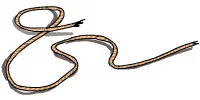 Challenge Knot Tie [Illustrations by Shiju George]