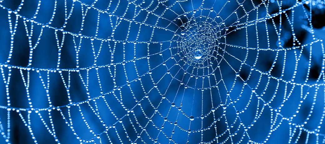 How do Spiderwebs Help Skydivers?