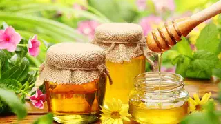 Illustration for Different Colours of Honey