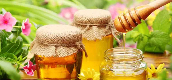 Illustration for Different Colours of Honey