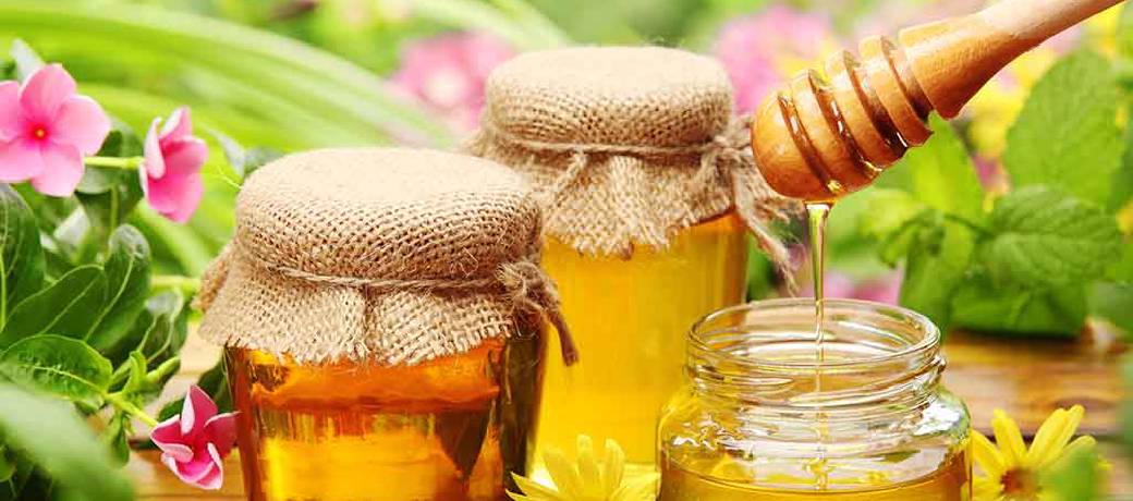 Illustration for Different Colours of Honey