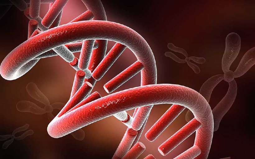 Digital illustration DNA structure