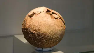 Illustration for Dinosaur eggs Found in Patagonia