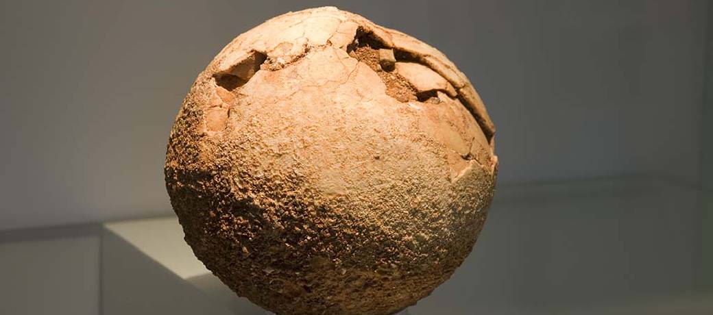 Dinosaur eggs Found in Patagonia