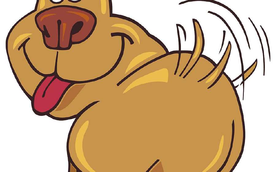 Domestic Animals Coloring Pages