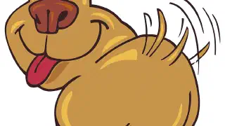 Illustration for Domestic Animals Coloring Pages
