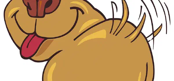 Illustration for Domestic Animals Coloring Pages