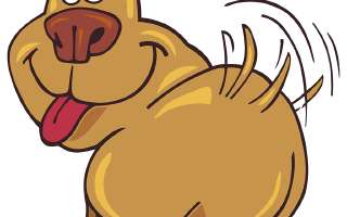 Domestic Animals Coloring Pages