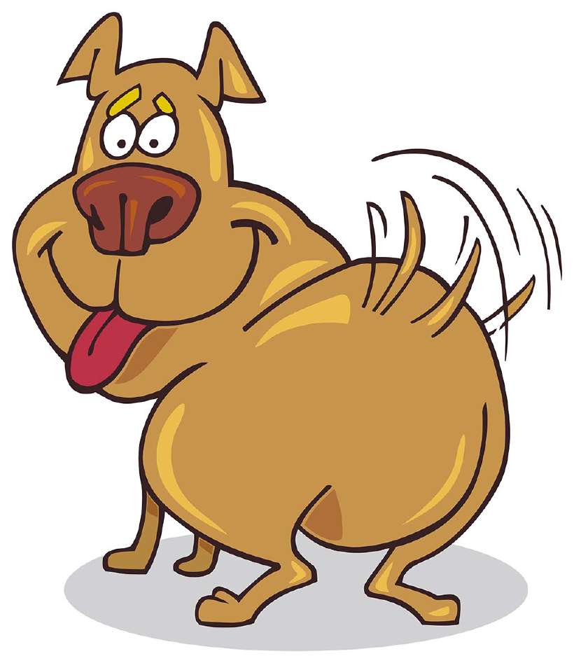 A dog wagging its tail