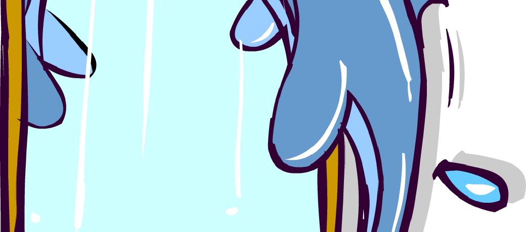 Dolphin in the Mirror
