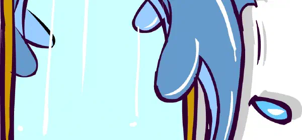 Illustration for Dolphin in the Mirror