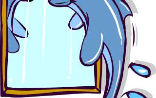 Dolphin in the Mirror