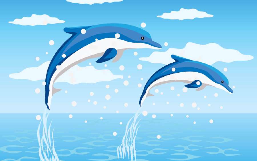 Do Whales and Dolphins see Blue?