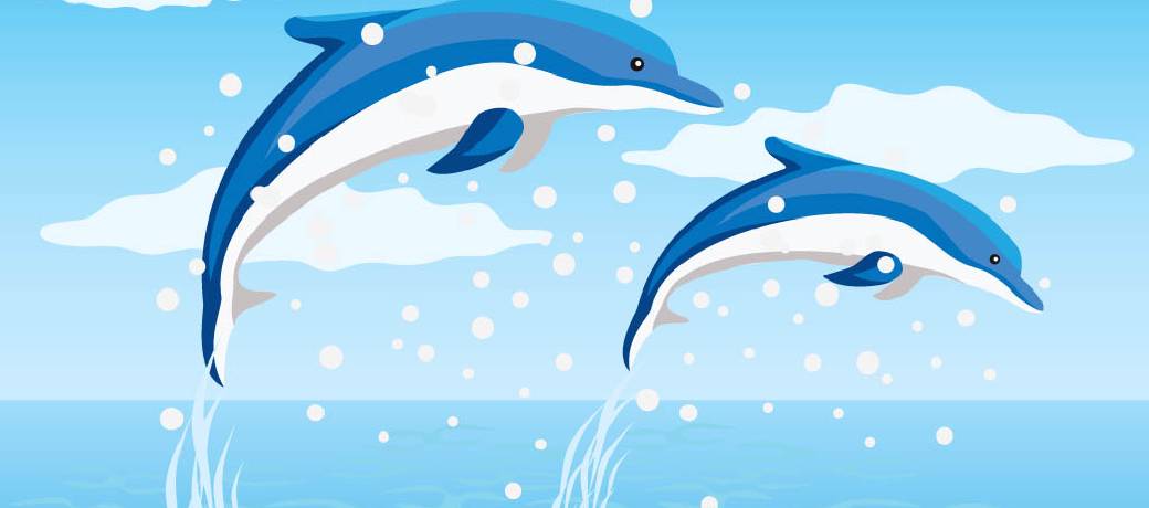 Do Whales and Dolphins see Blue?