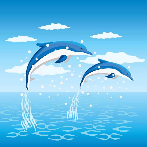 Do Dolphins see Blue?