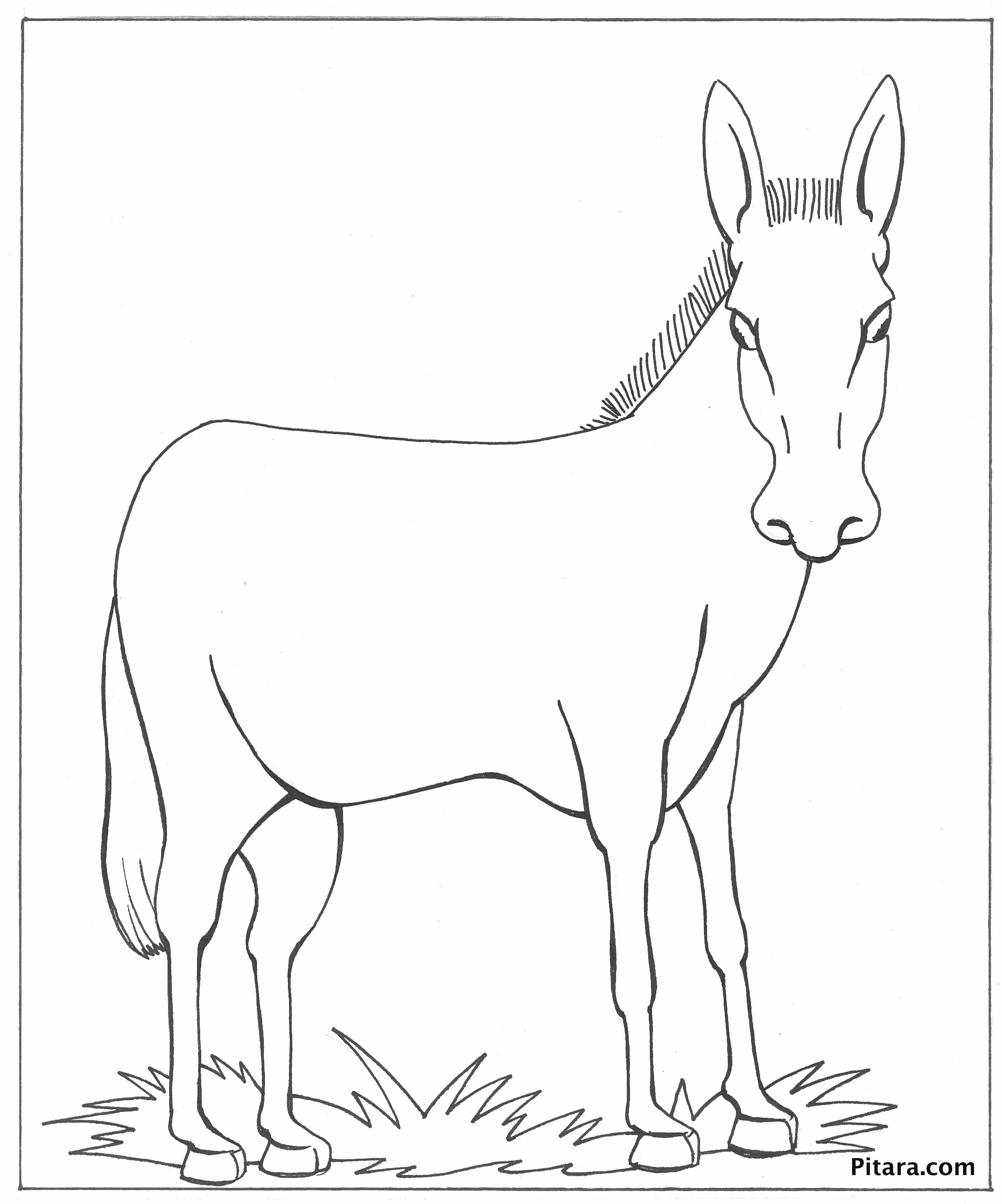 83 Coloring Pages Domestic Animals  HD