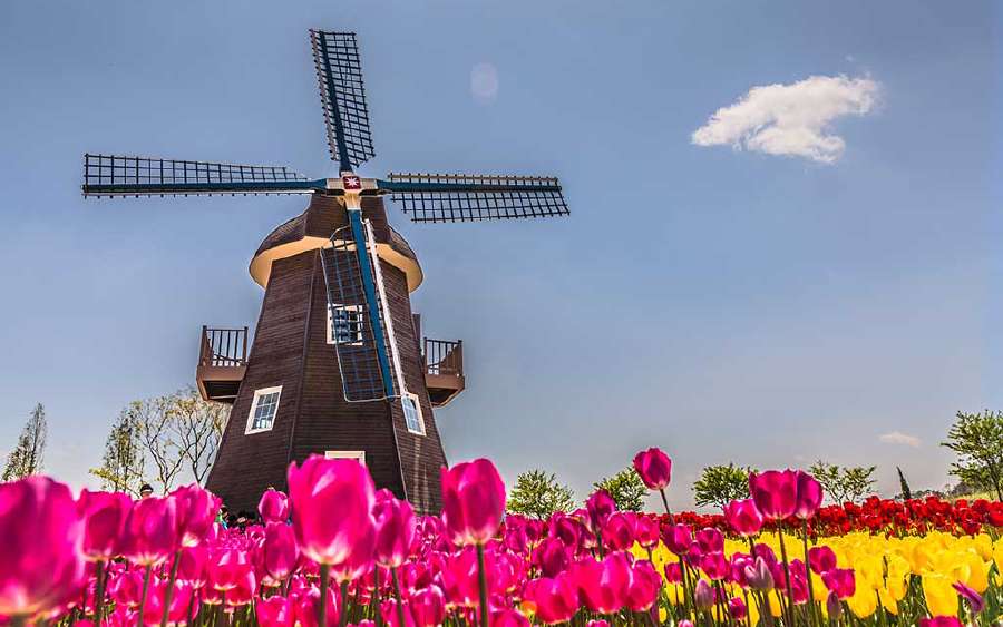 What is the Secret of the Windmill?