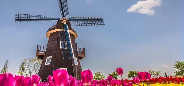 Illustration for What is the Secret of the Windmill?