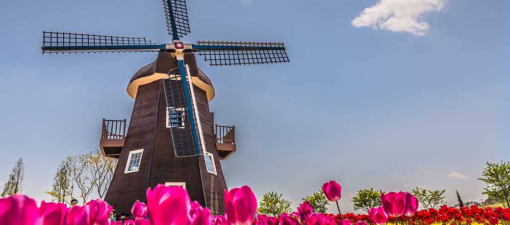 What is the Secret of the Windmill?