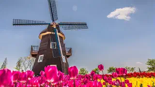 Illustration for What is the Secret of the Windmill?