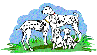 No Dalmatians Please [Illustration by Anup Singh]